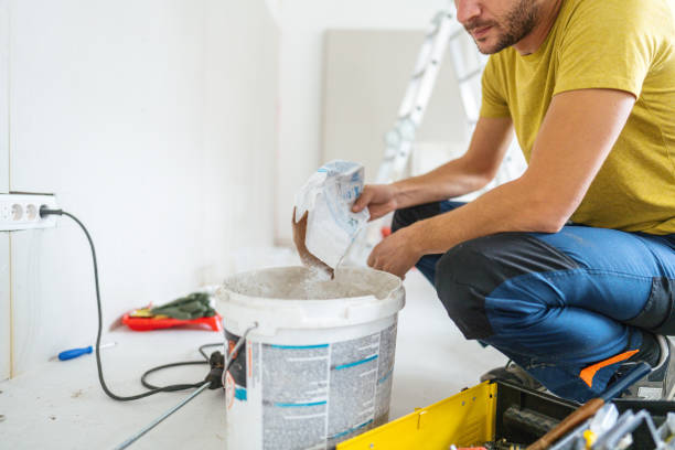 Best Post-Construction Mold Inspection  in Dalhart, TX